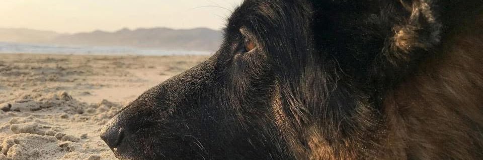 lukeymango's profile banner image