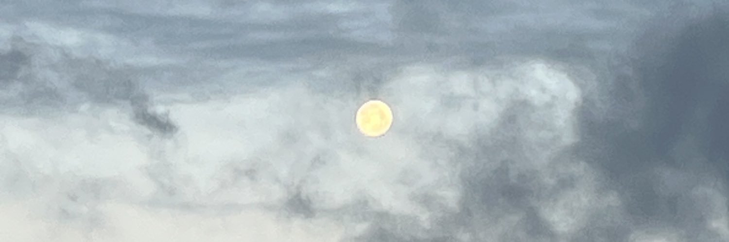 Reijo Heiskanen banner