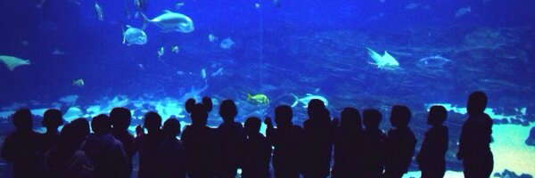 aghamilton27 Profile Banner