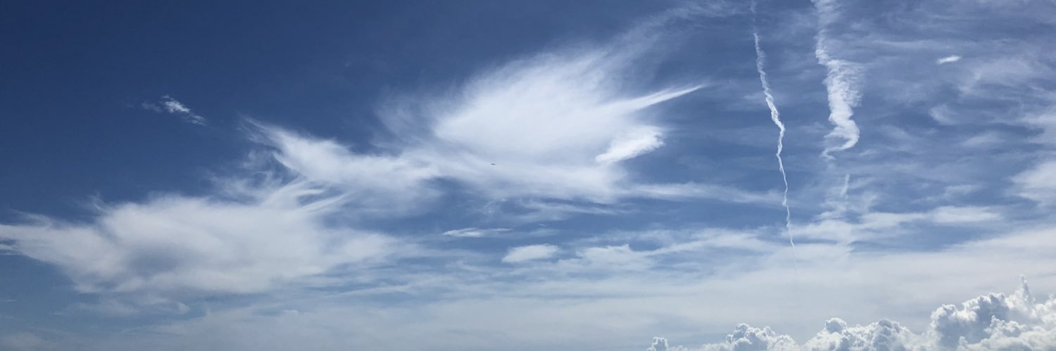 honeyflash69's profile banner image