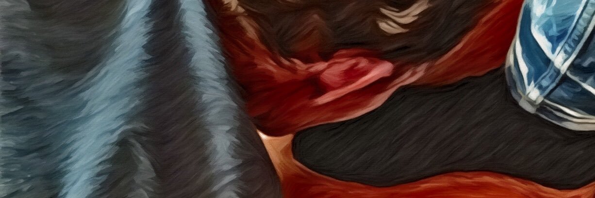BergsmaLeon's profile banner image