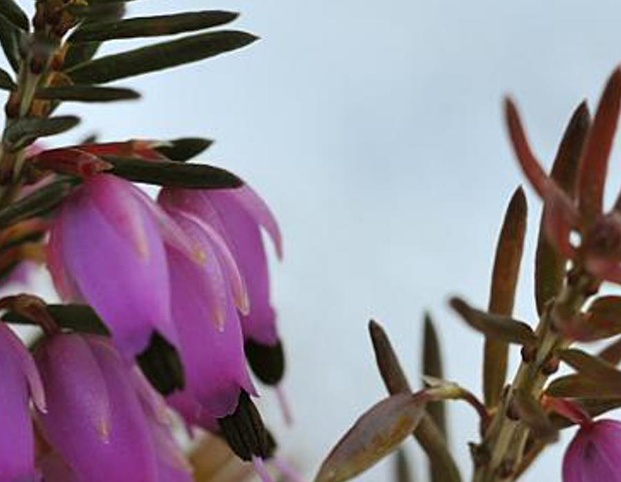 rmuloani's profile banner image