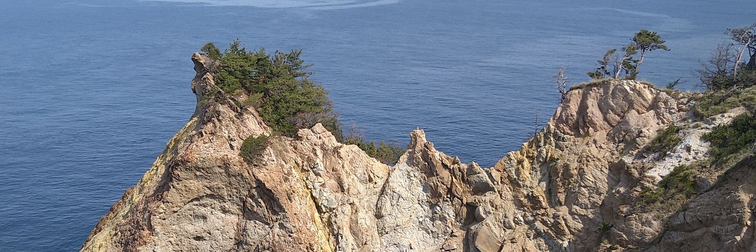 Shiz_yoshi's profile banner image