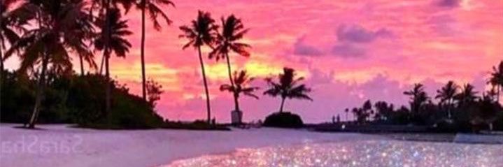 Dotti banner