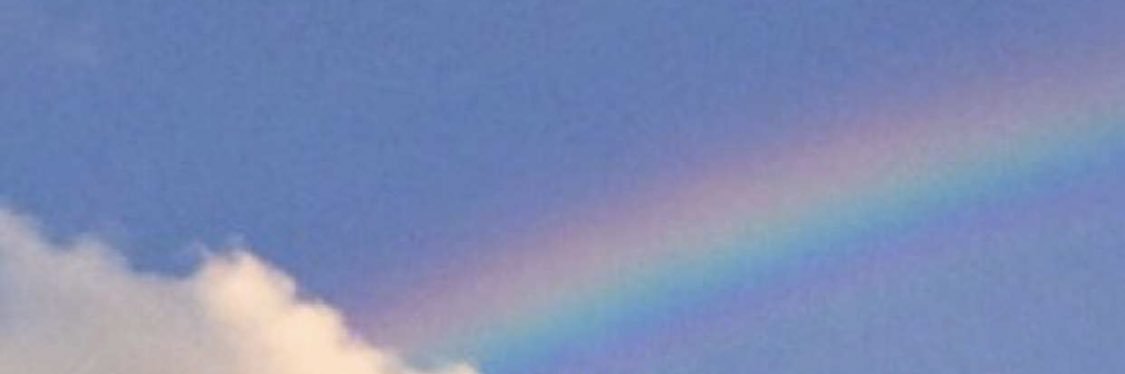 MacyGill1's profile banner image