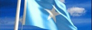 Dalkajournal's profile banner image