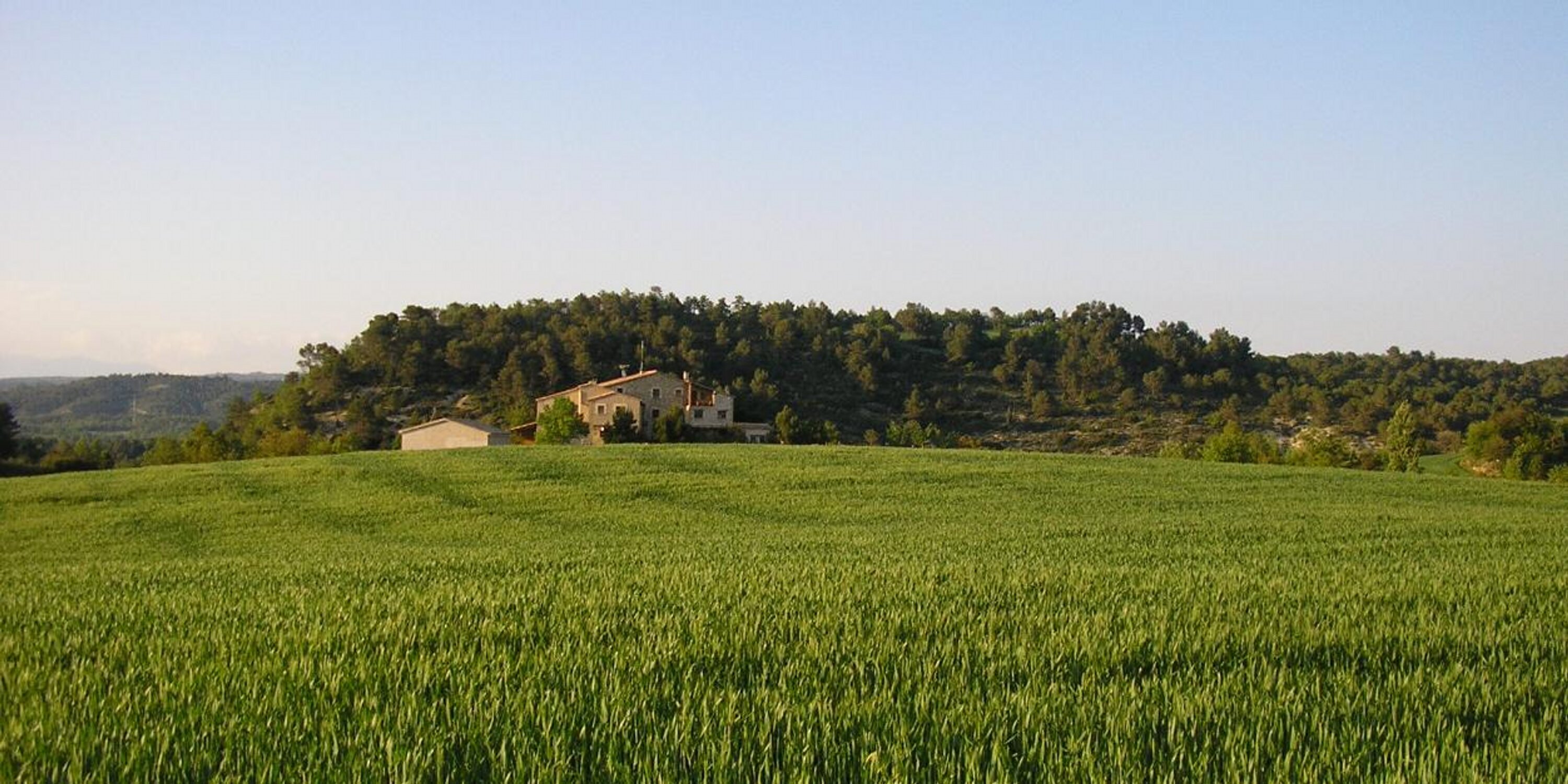 RCPCalRos's profile banner image