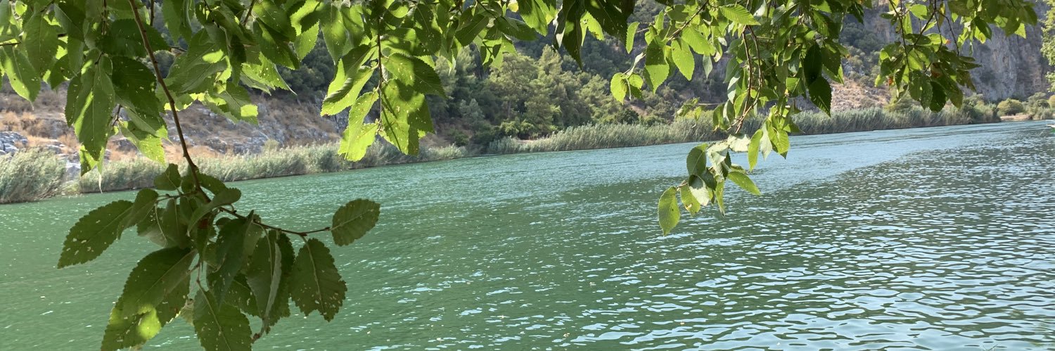 ❤️🦢Nicola Lester 🦢❤️ banner