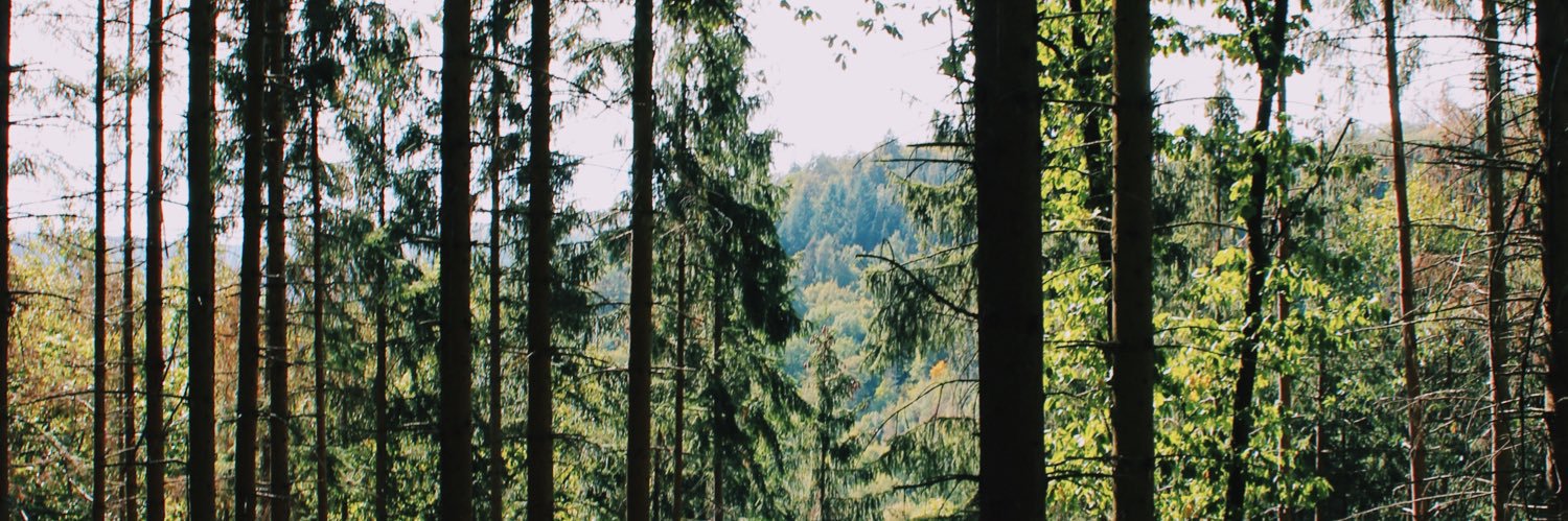 mojaspers_'s profile banner image