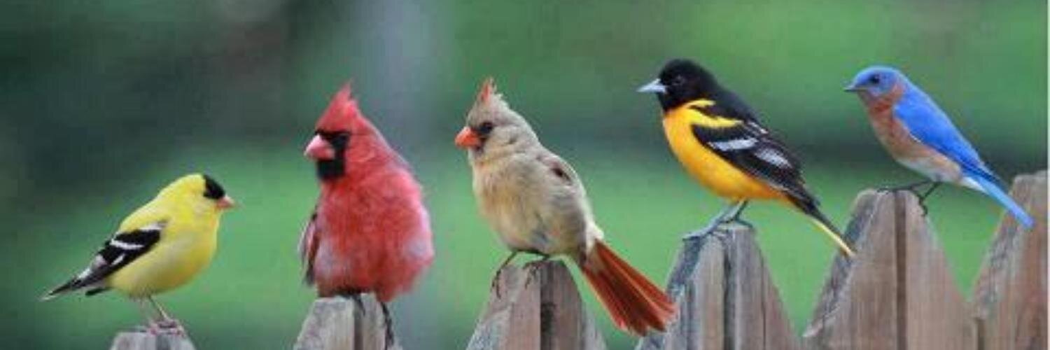 onelongbird's profile banner image