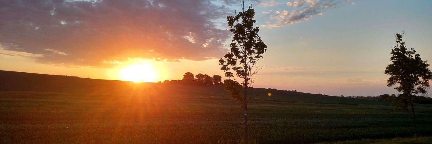 Iowa Corn Growers banner