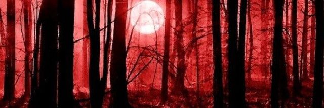paride161's profile banner image