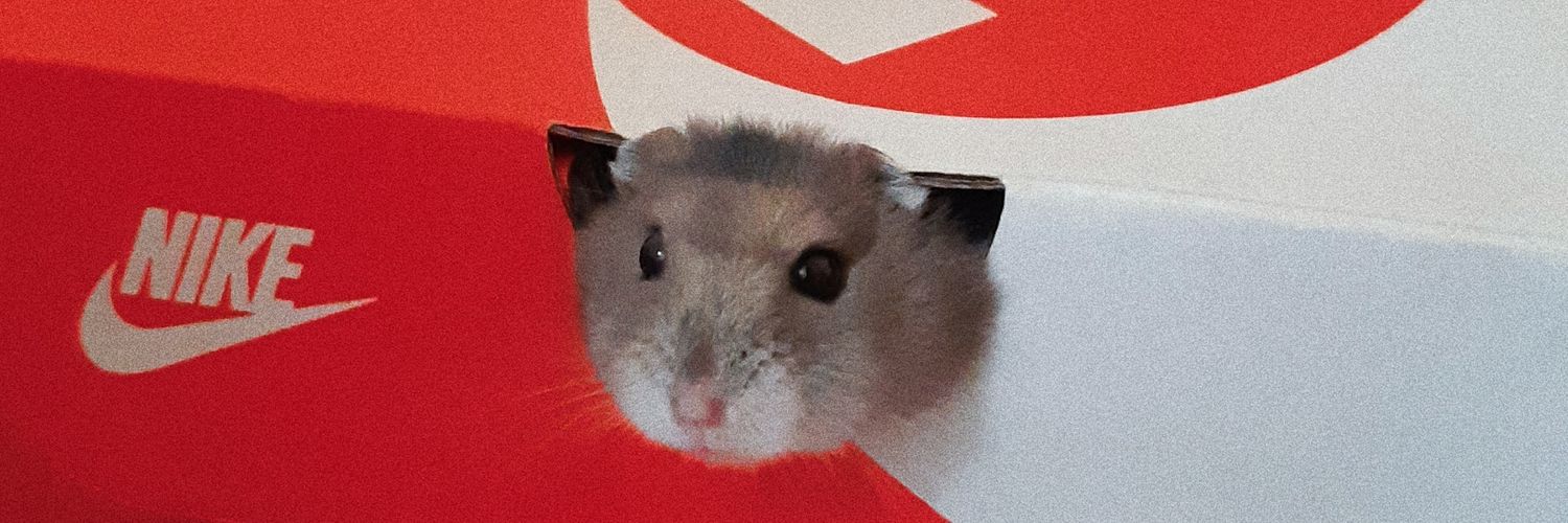 isabelanegrila's profile banner image