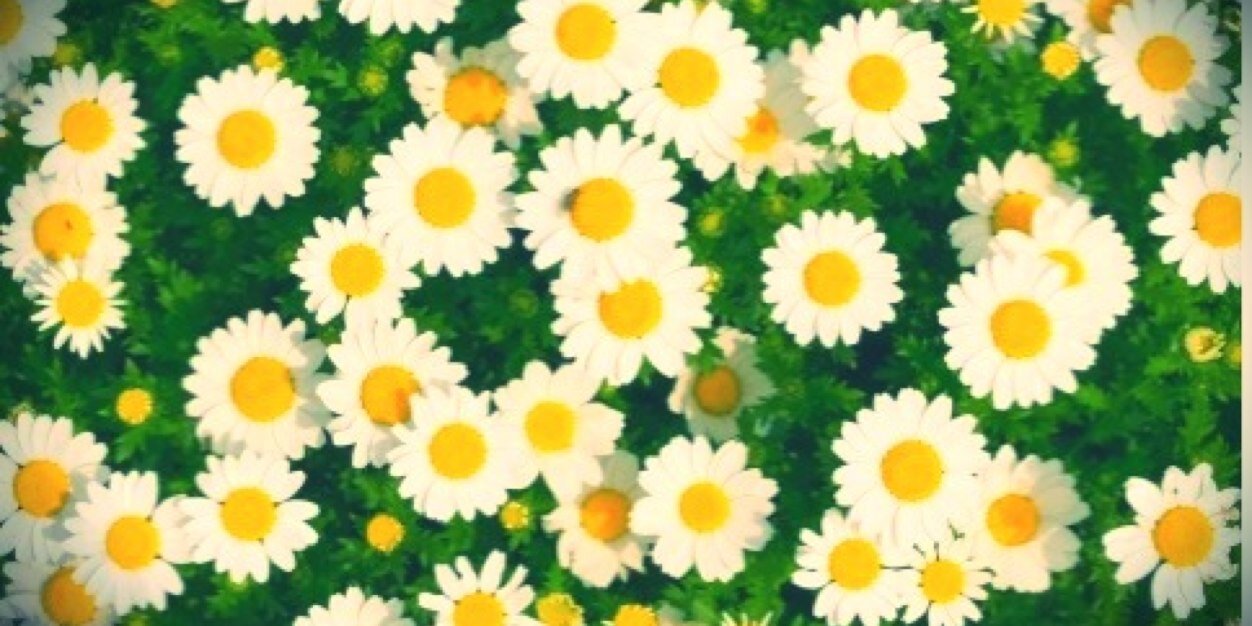 rukapi141's profile banner image