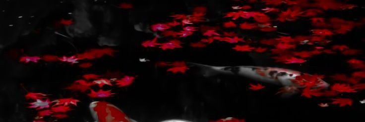 bcu_neil's profile banner image