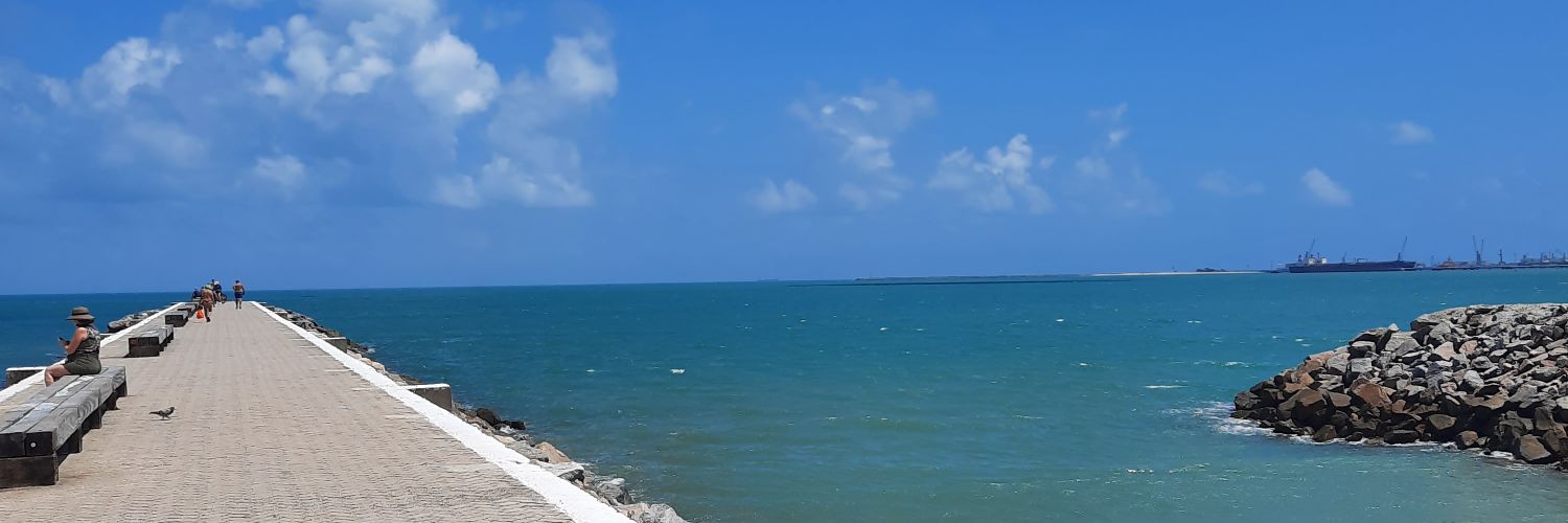 Sergio #Palmeiras12X - 🚩💚 🇮🇹 banner