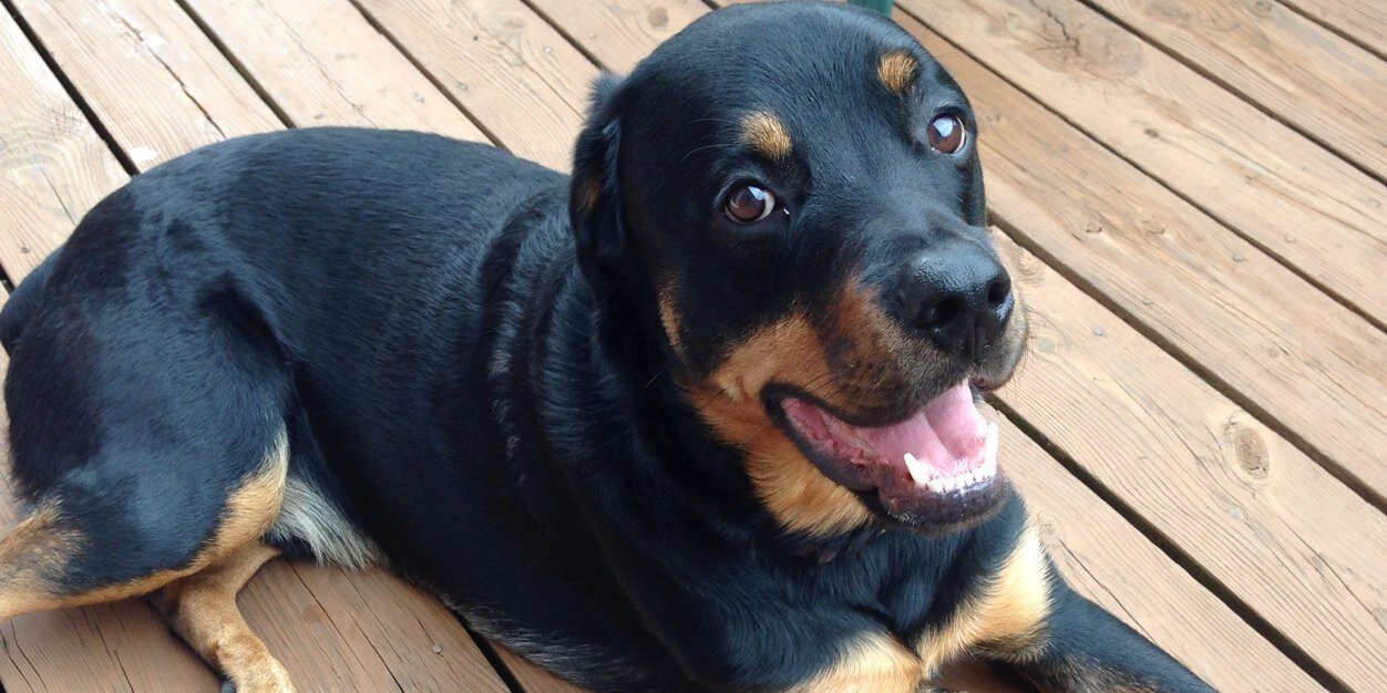 taylor♡freeman banner