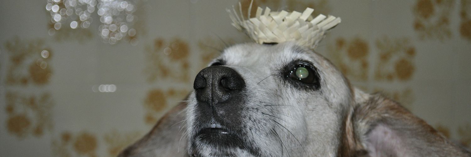 natilove's profile banner image