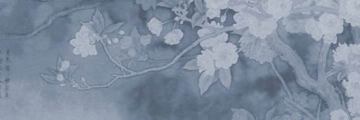 Zayne banner