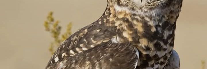 sarinley10's profile banner image