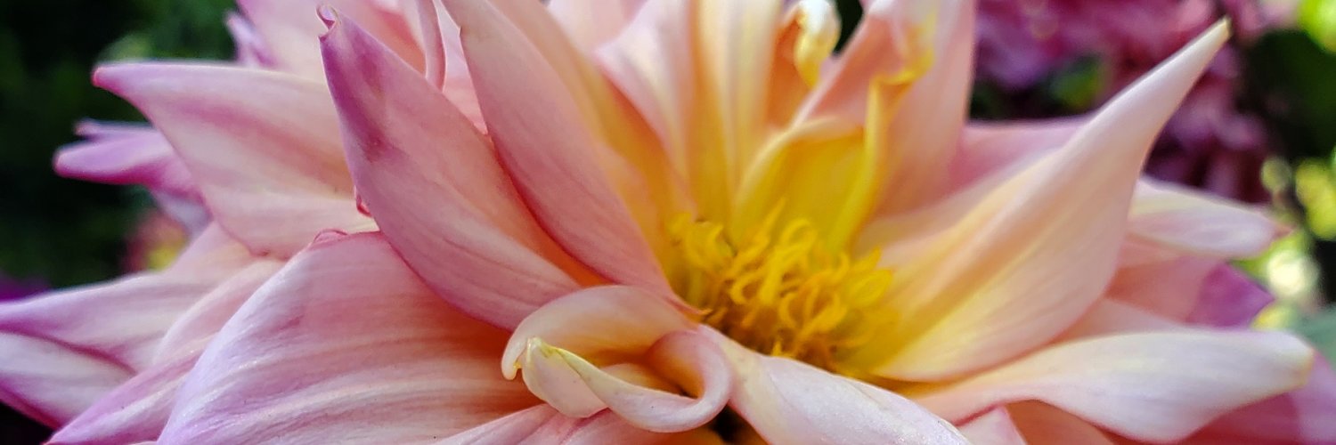 Awesomesamsel's profile banner image