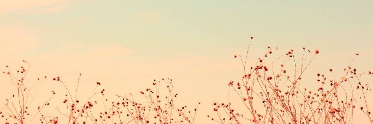 doomkoot's profile banner image