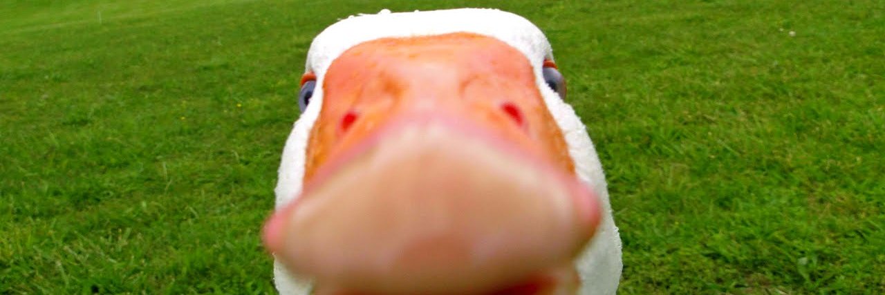 RobRoyPalmer's profile banner image