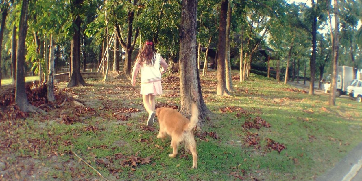 VasAppeninBoyce's profile banner image