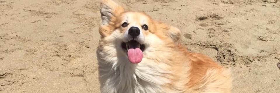 tysmithnet's profile banner image