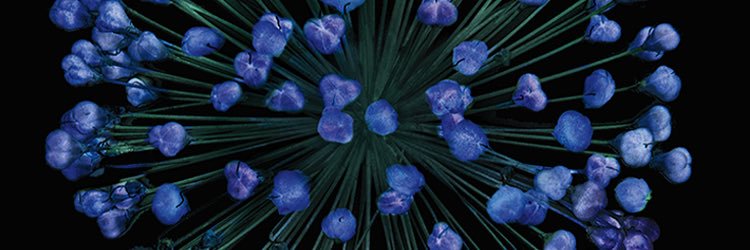 LWanyitu's profile banner image