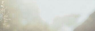 celinecaa's profile banner image