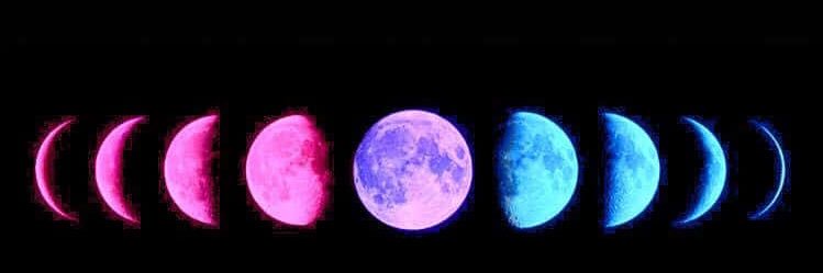 🩷💜🩵 LuceeNicole 🩷💜🩵 banner