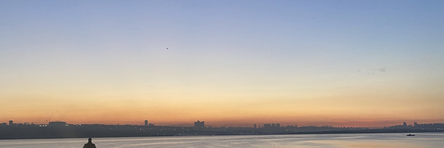 aneseker's profile banner image