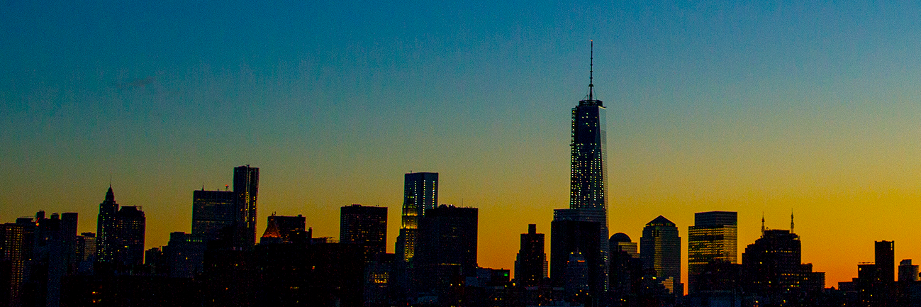 Teresa deWilde banner