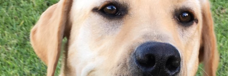 BrumbyE's profile banner image
