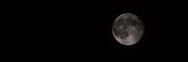 __tanne's profile banner image