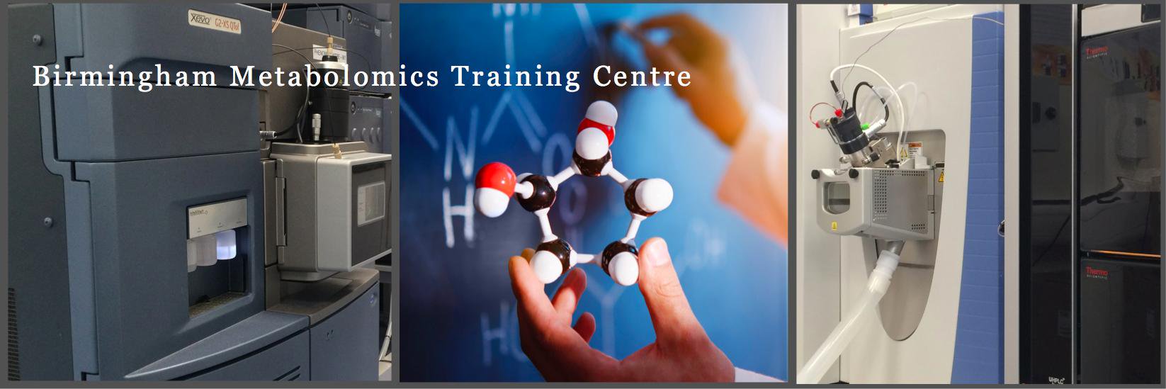 BMTC - Metabolomics Training banner