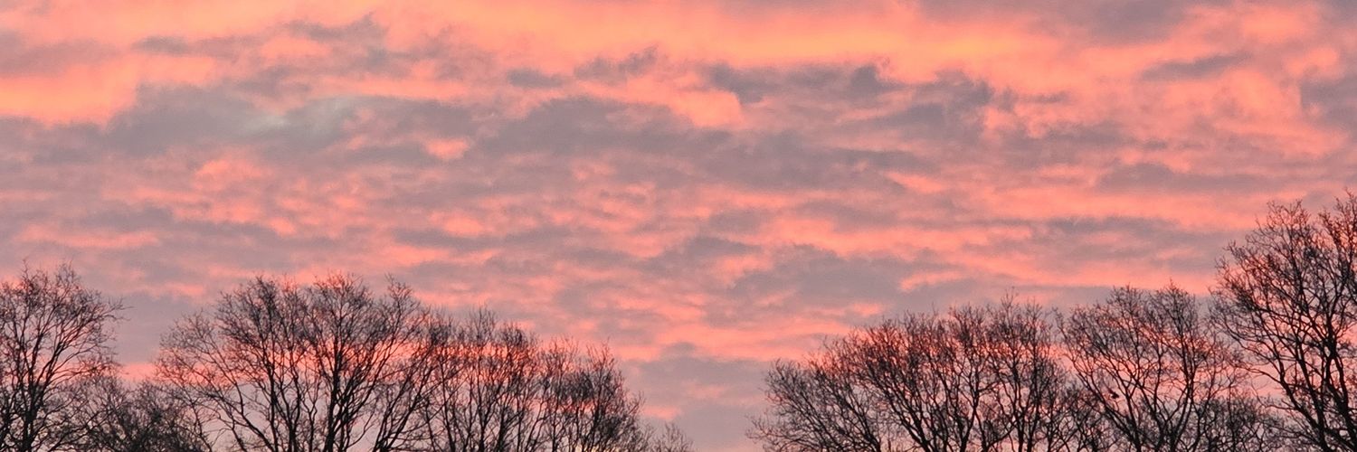 Daydreamer 🏳️‍🌈 banner