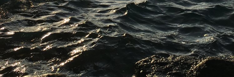 Vynsint's profile banner image