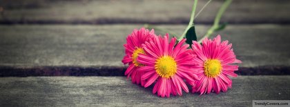 adrianarocha_7's profile banner image