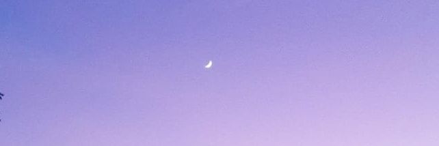 alemoete's profile banner image