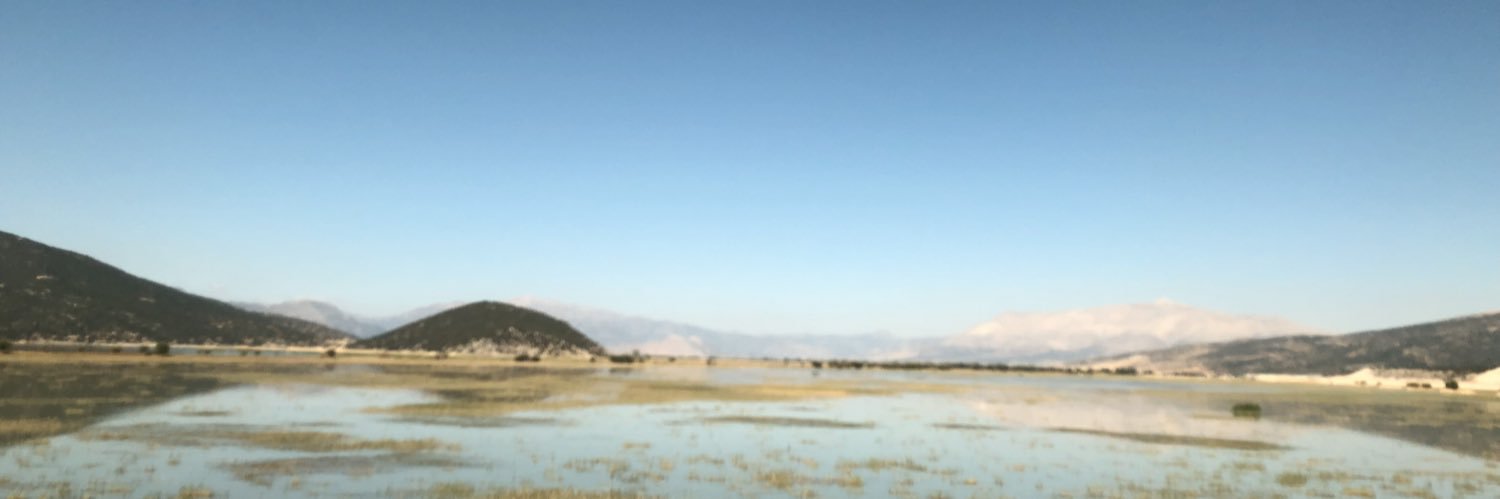 sercanezgi4's profile banner image