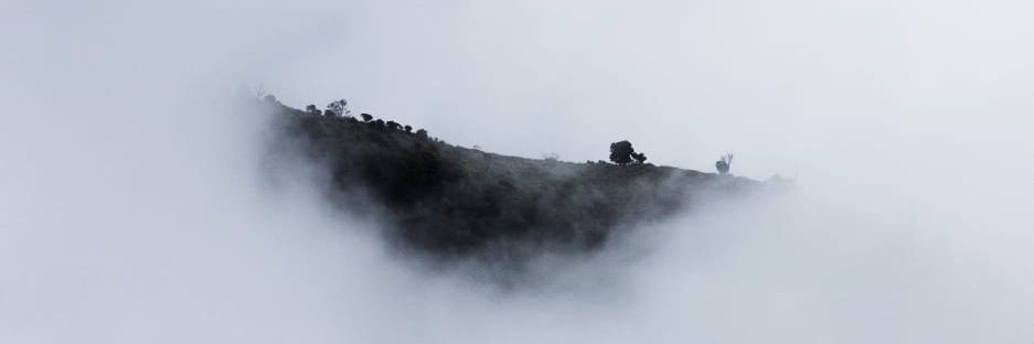 Dimplaks's profile banner image