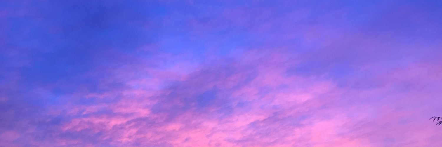 SARAHTVYLOR's profile banner image