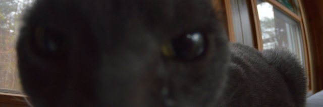 FatCatVG's profile banner image