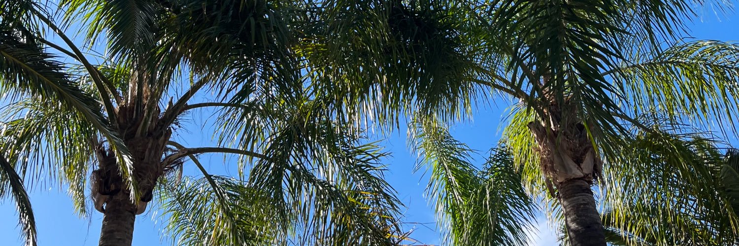 EmaLouCon's profile banner image