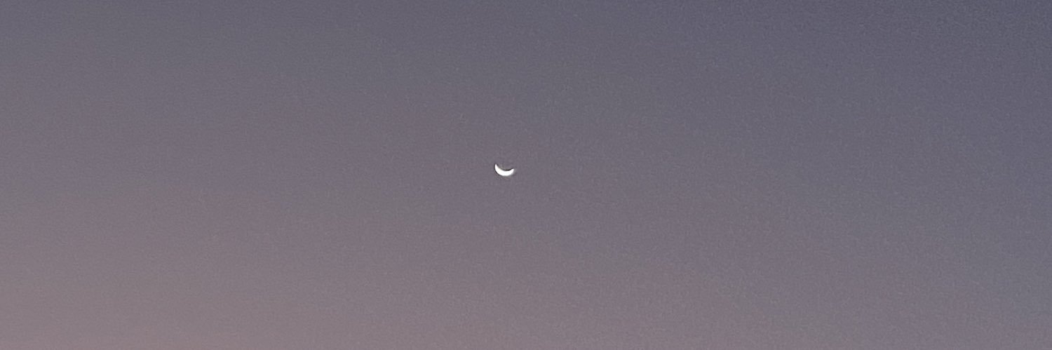 babitavares5's profile banner image