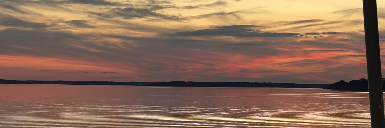 MichelleRJohns's profile banner image