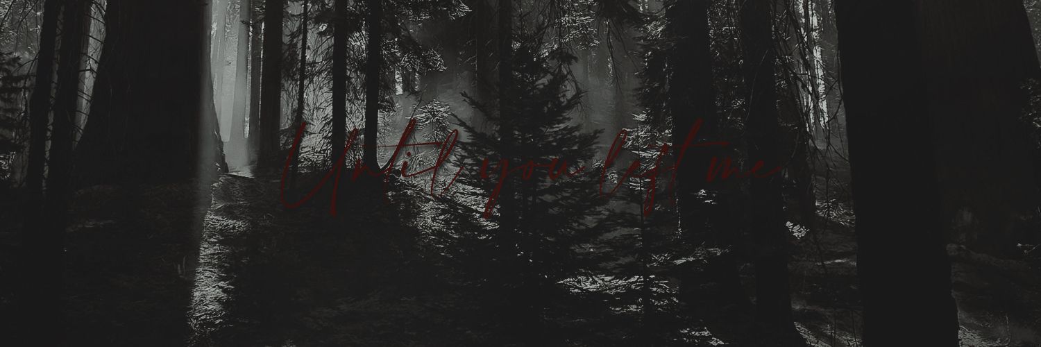 nothestupidlamb's profile banner image
