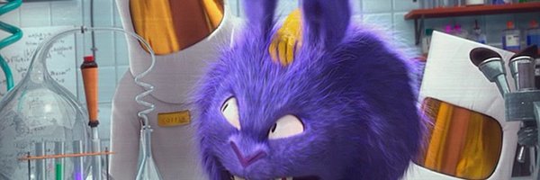 corrigan_liz Profile Banner